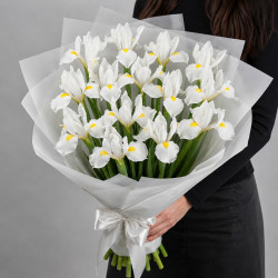 15 белых ирисов